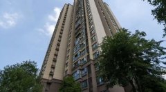 从20楼意外坠落 中国两岁童奇迹生还